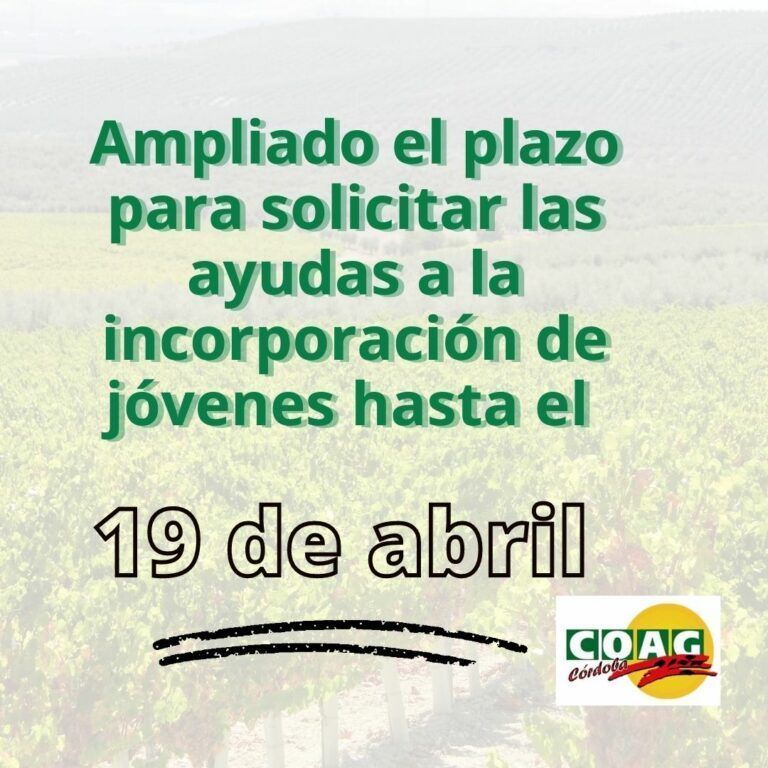 Ampliado el plazo para solicitar las ayudas a jóvenes