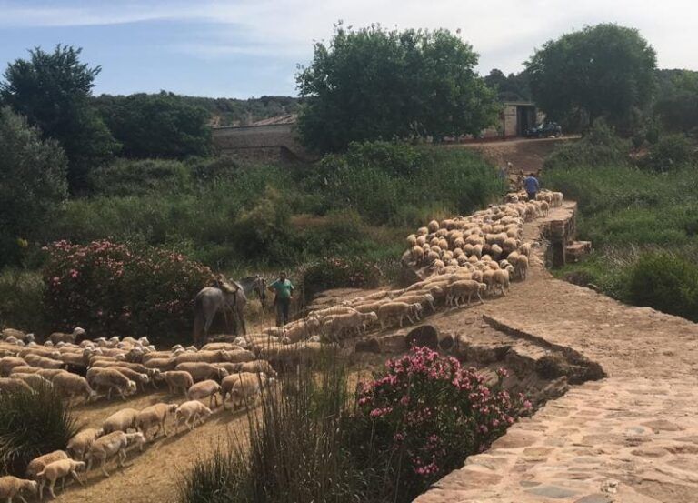 COAG Jaén exige a Hacienda una rebaja de los módulos proporcional al aumento de los costes de producción y que reflejen la situación sequía