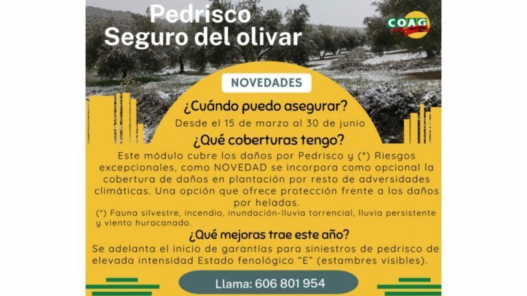 seguro del olivar pedrisco