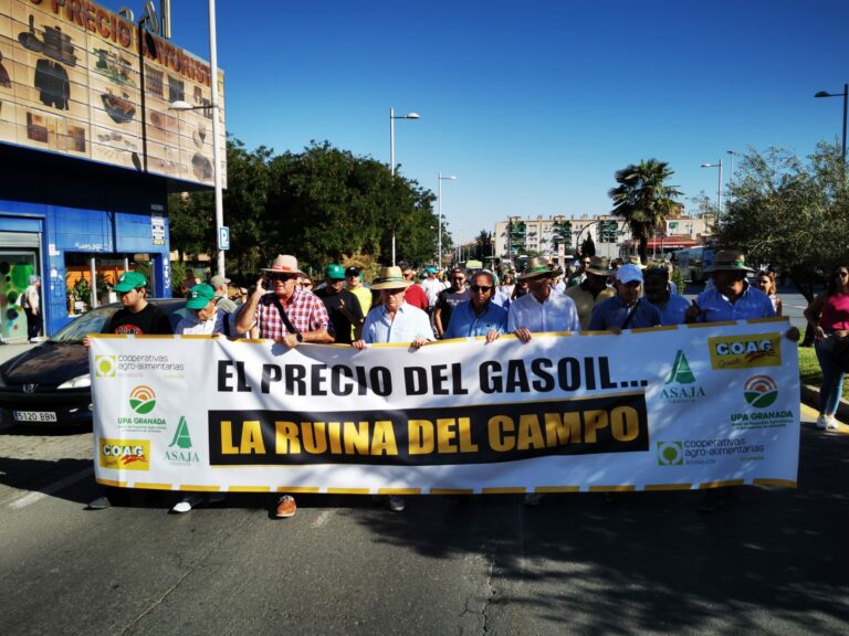 Más de 400 vehículos agrícolas reclaman en las calles de Granada medidas que salven al campo ante el desorbitado precio del gasóleo