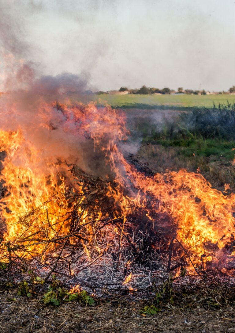 COAG-Málaga manifiesta su alivio al prevalecer la sensatez que impide la aplicación de la ley contra la quema agrícola