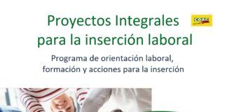 PROYECTOS INTEGRALES PARA LA INSERCIÓN LABORAL