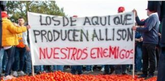 COAG Almería denuncia una nueva alerta sanitaria en pimiento de Marruecos detectada en Francia