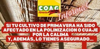 COAG INFORMA: CALIMA