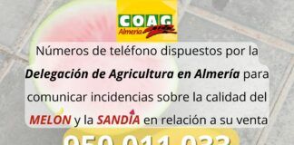 CAMPAÑA NO CORTES EN VERDE