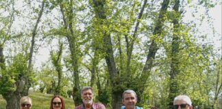 El sector andaluz de la castaña se moviliza y reivindica medidas de apoyo