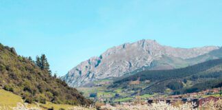 COAG Málaga denuncia que se ha quedado fuera de la ayuda de Ecológico almendral montañoso, muy tradicional en la provincia