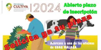 Ya puedes solicitar tu participación en el Programa “Cultiva” 2024 hasta el 5 de septiembre!!