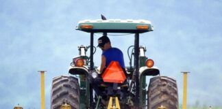 Publicada la nueva convocatoria de ayudas de la Diputación de Málaga al sector agrario y ganadero de la provincia