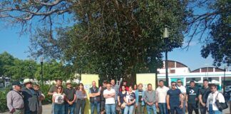 Una veintena de afectados/as explica su situación ante el Mercado donde operaba la comercializadora almeriense