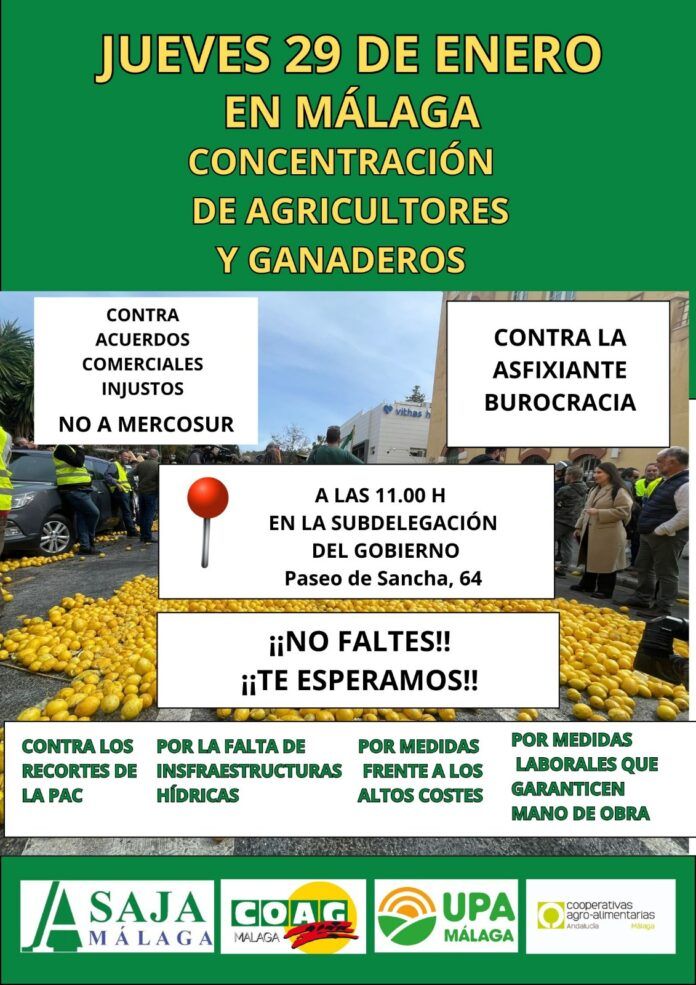 cartel concentrracion_29ene2026