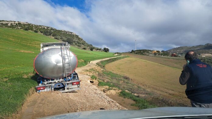 WhatsApp Image 2026-02-18 at 13.06.42